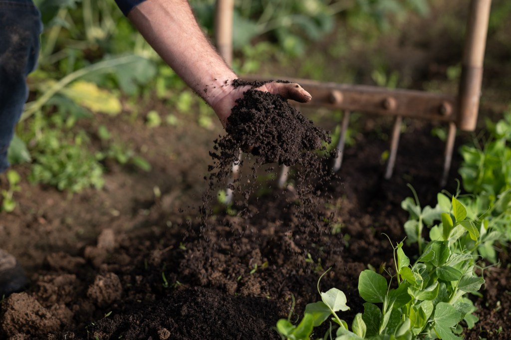 une personne amende son sol avec le fertilisant naturel olyfertil d'olygeo